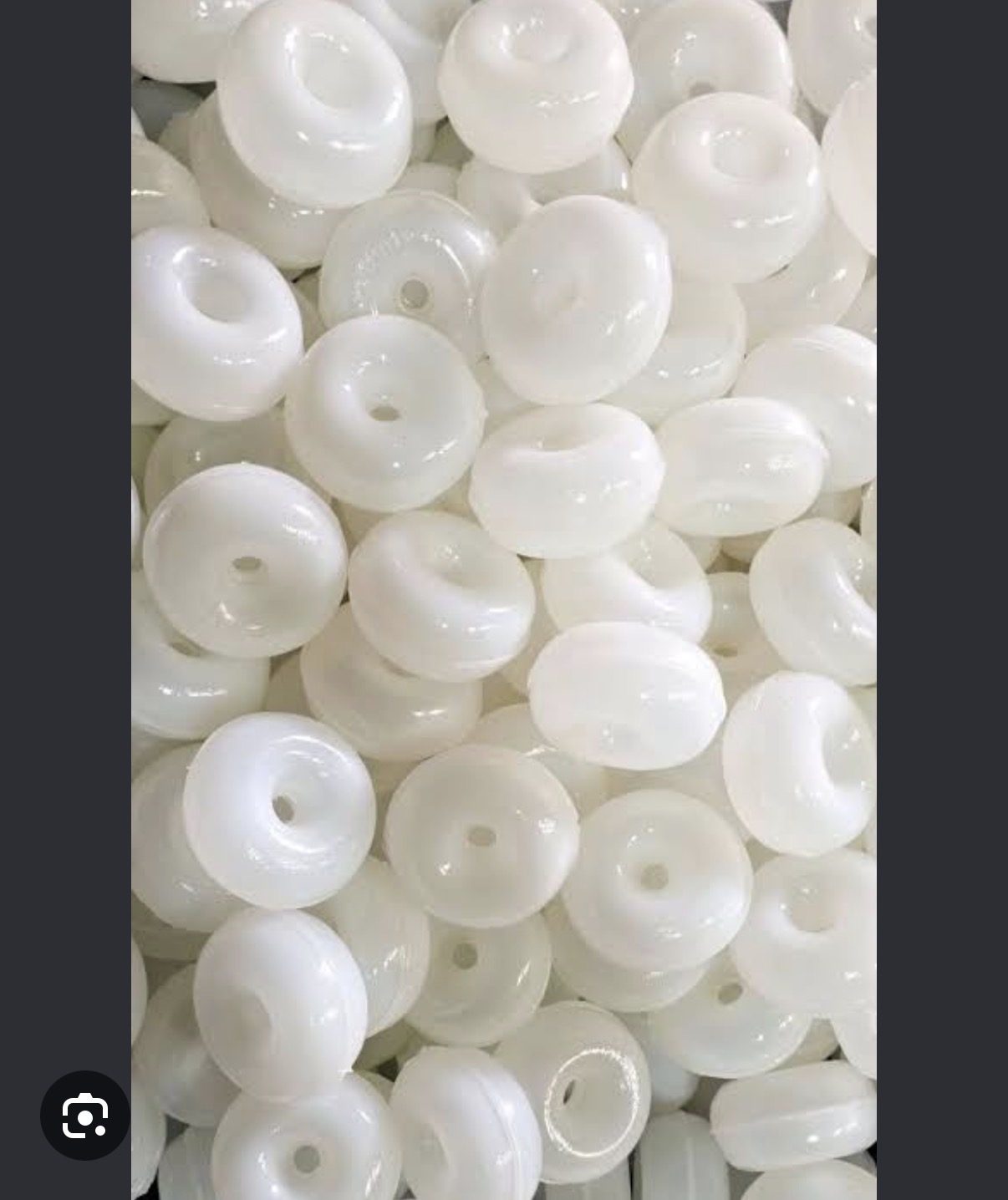 100 Lü Ağ Mantarı